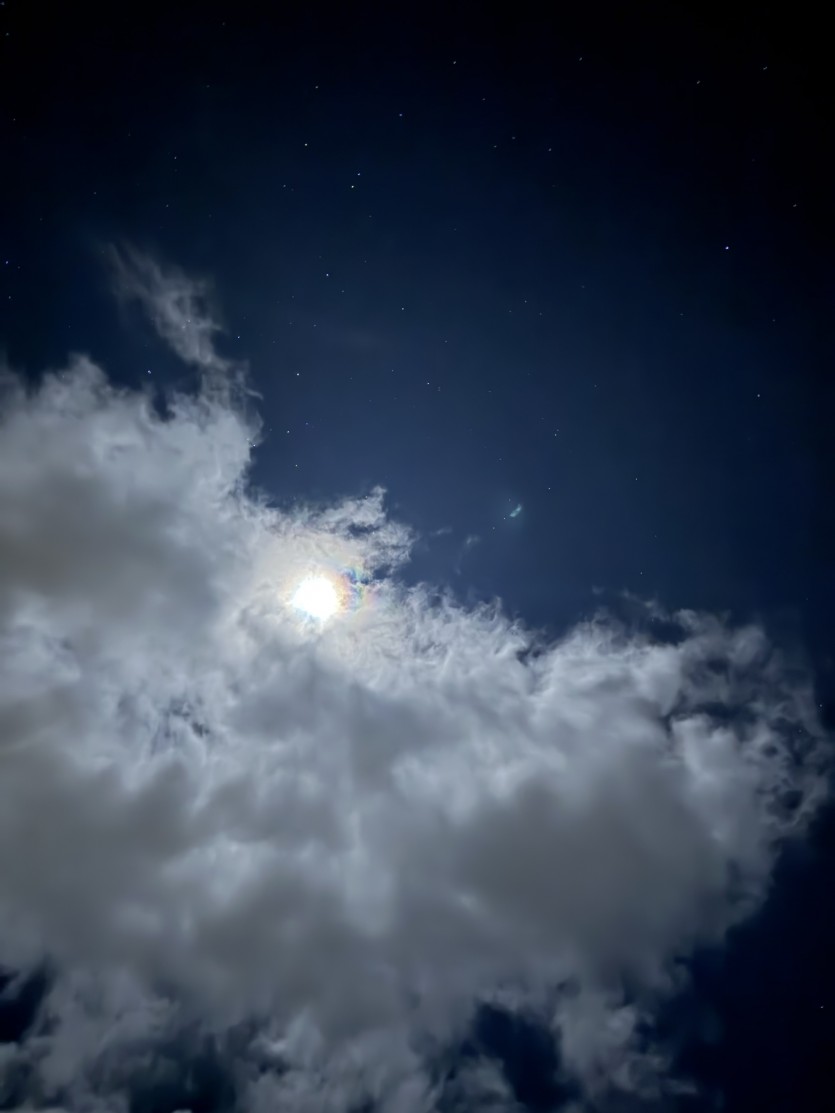 d5939d656d072d5e29e5bfcf7f39a4701cf286b6.jpg