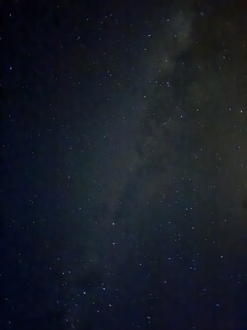 e3124fade7dab6fbe51f088b2bda6aab0d638418.jpg